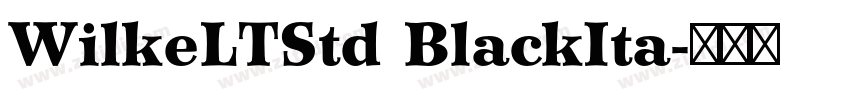 WilkeLTStd BlackIta字体转换